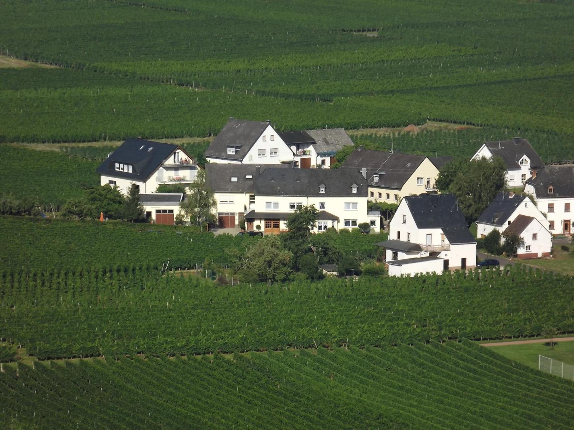 Ferienweingut Winnebeck Köwerich Zimmer foto