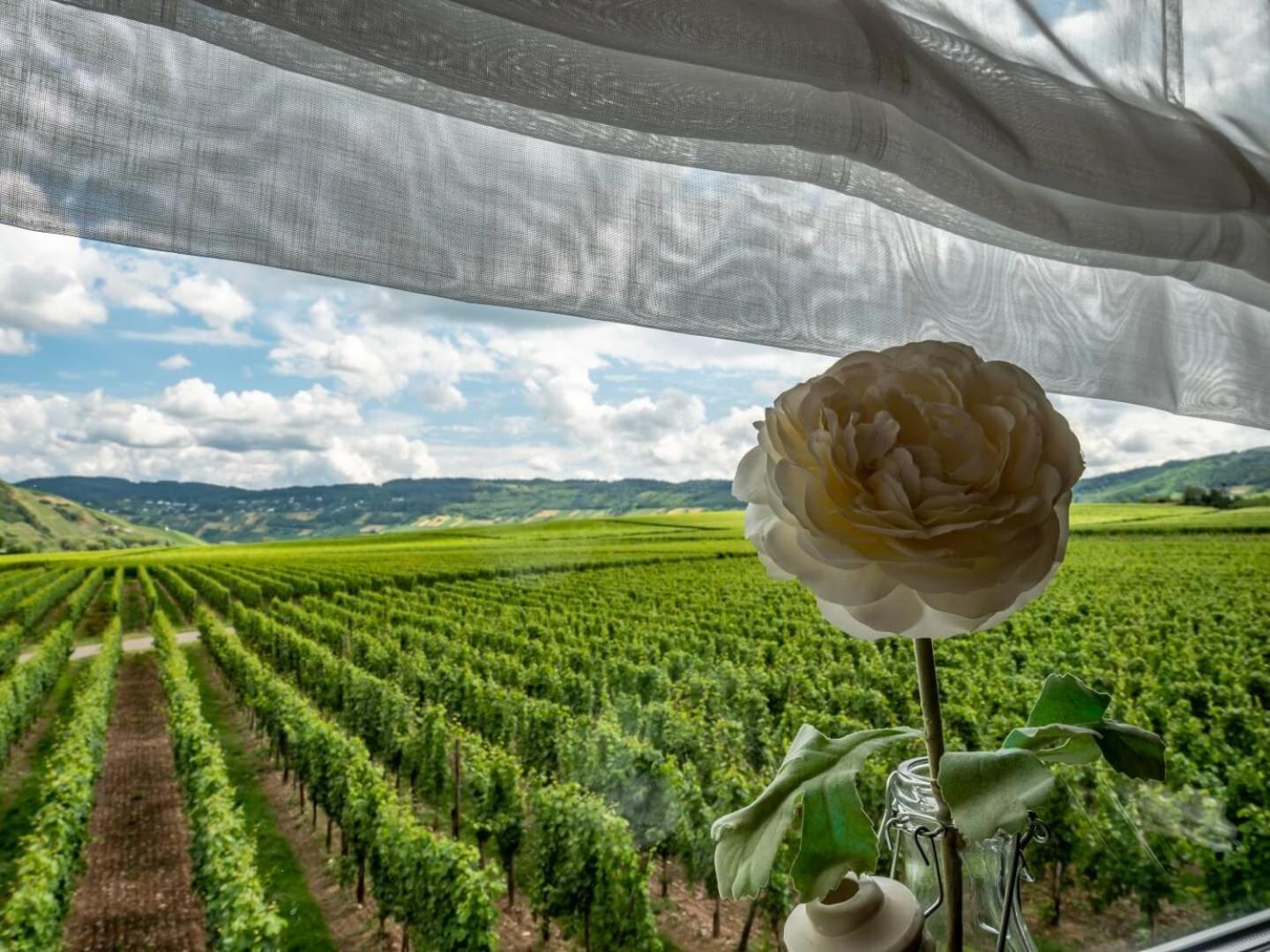 Ferienweingut Winnebeck Köwerich Exterior foto