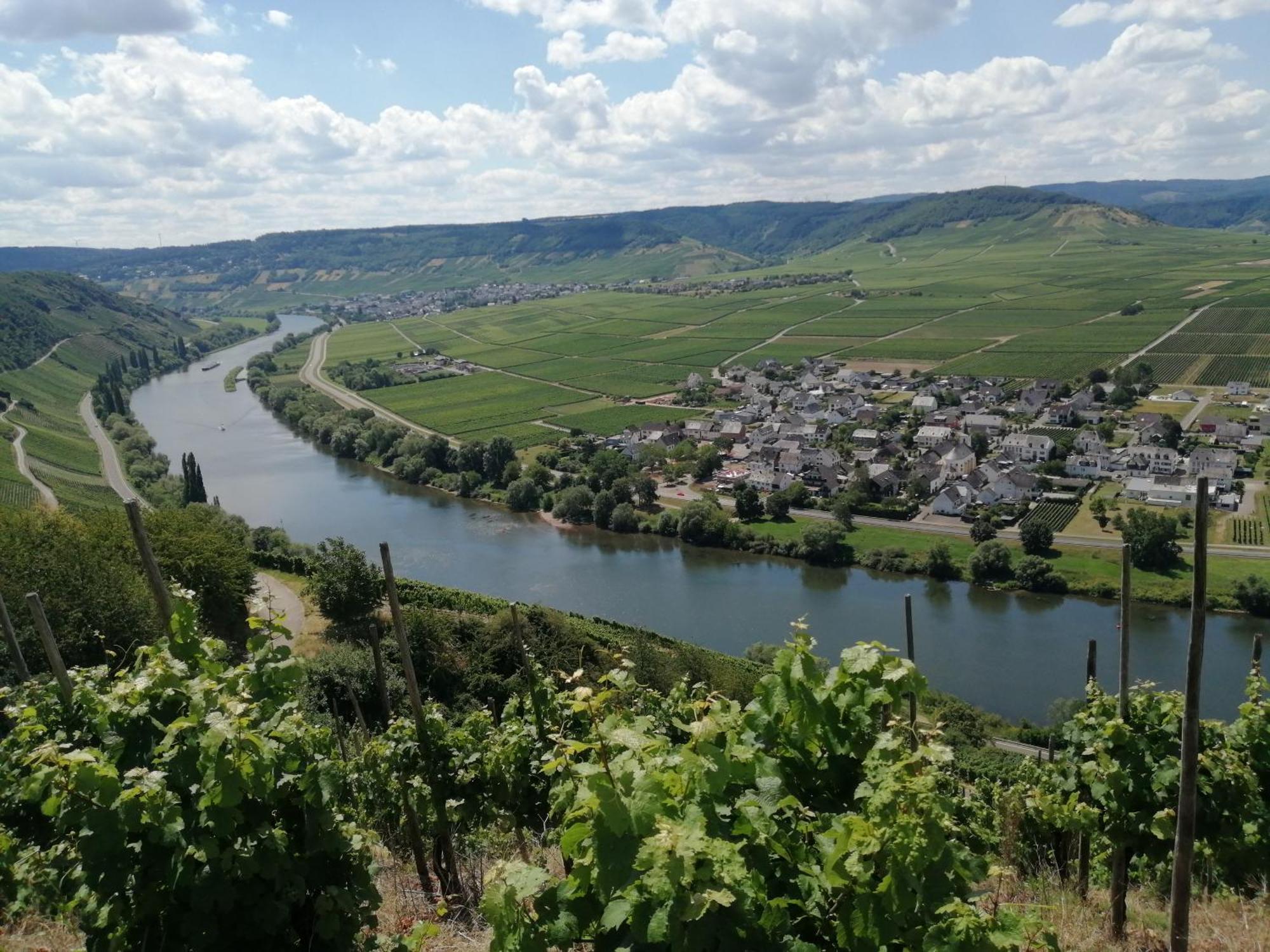 Ferienweingut Winnebeck Köwerich Exterior foto