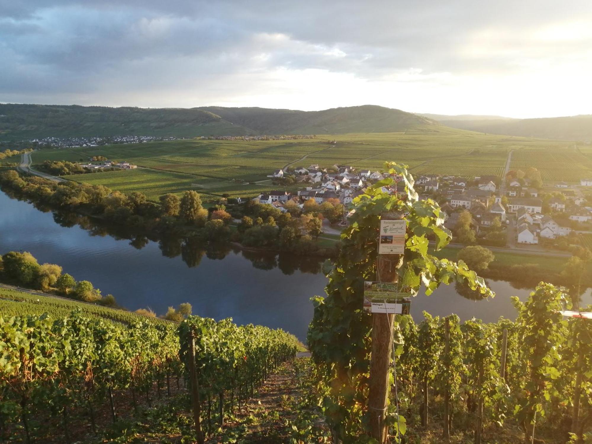 Ferienweingut Winnebeck Köwerich Exterior foto