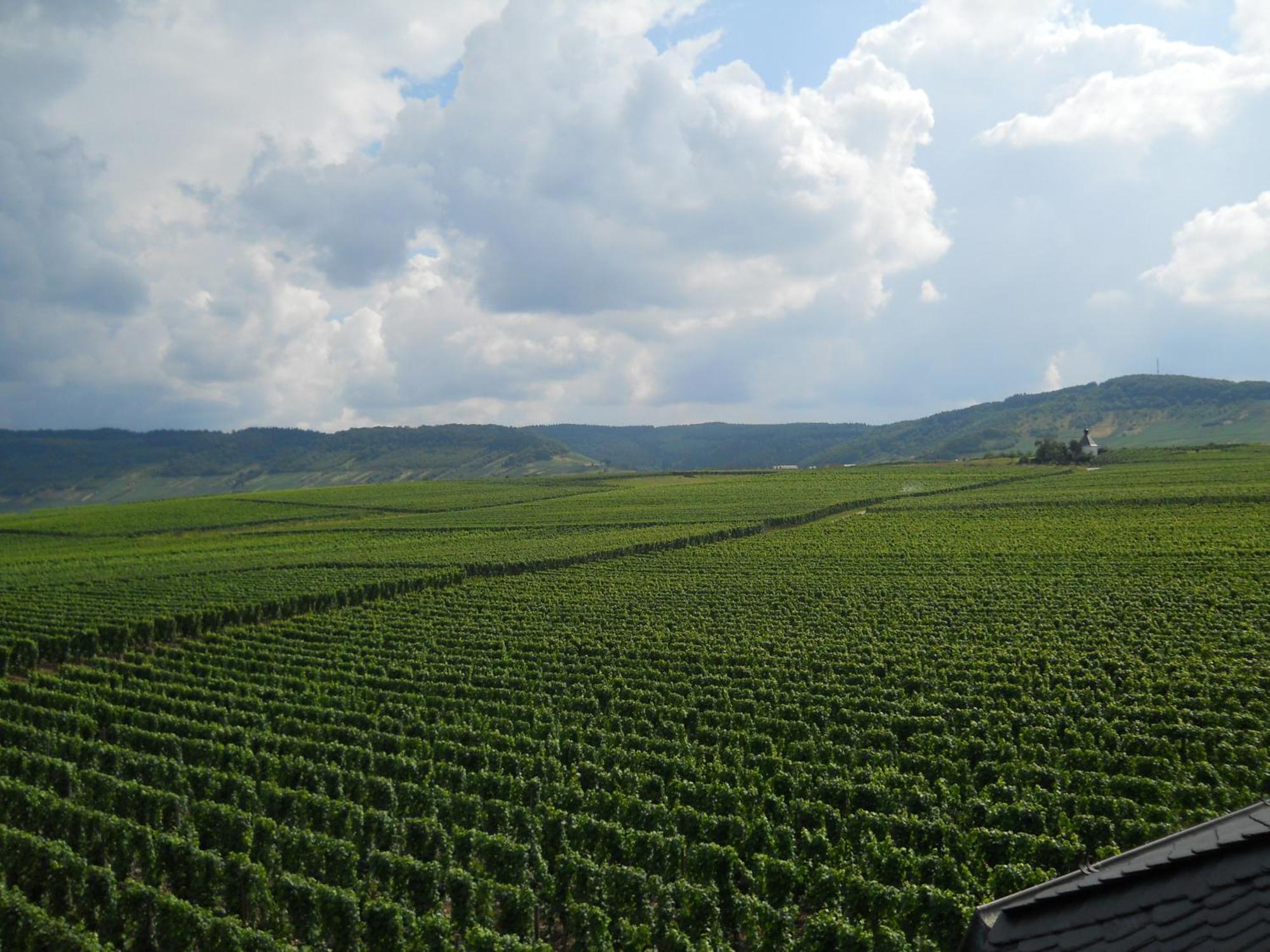 Ferienweingut Winnebeck Köwerich Exterior foto